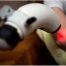 Infrared Therapy