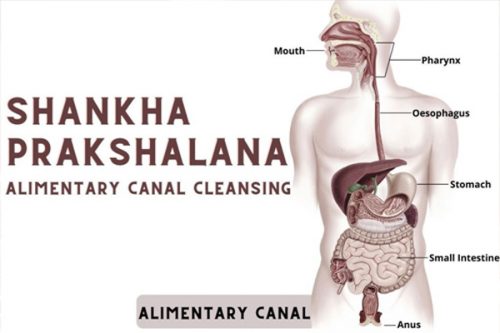 shankha-prakshalana-kriya