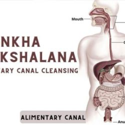 shankha-prakshalana-kriya